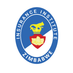 insuarance-Institute-Zimbabwe-Team-building-300x300